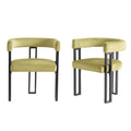 Cushioned Accent Armchairs (Set of 2)