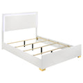 Jeremiah - LED Panel Bed With Touch Controlled Lighting