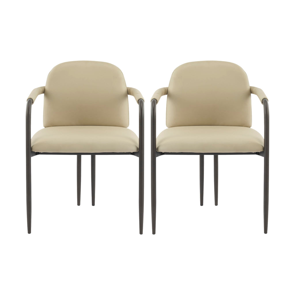 Modern Dining Chair (Set of 2) With Iron Frame - Espresso / Khaki