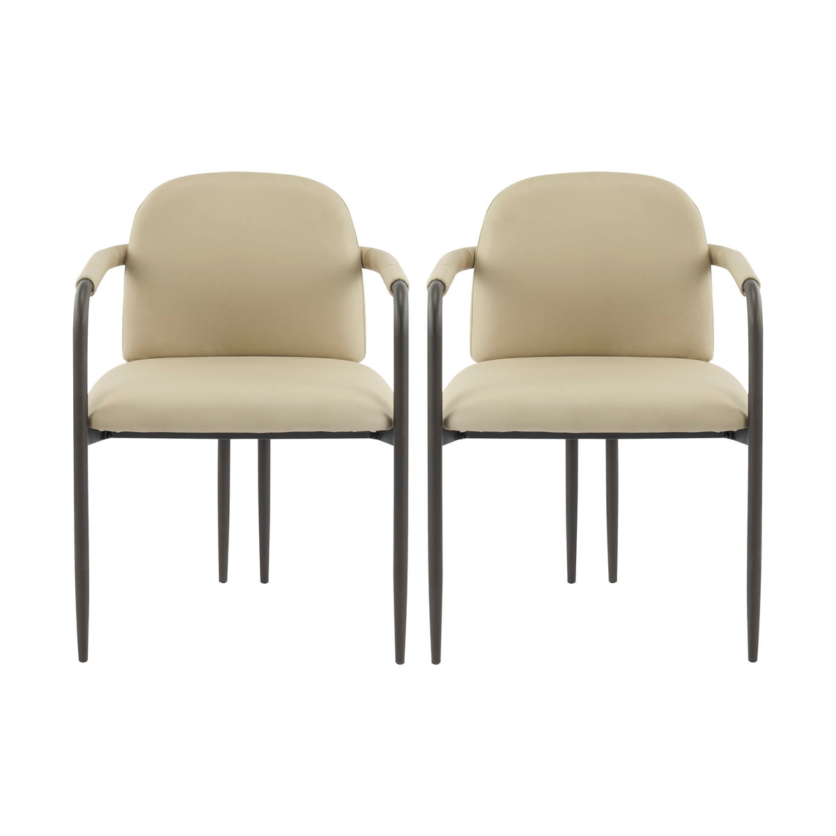 Modern Dining Chair (Set of 2) With Iron Frame - Espresso / Khaki