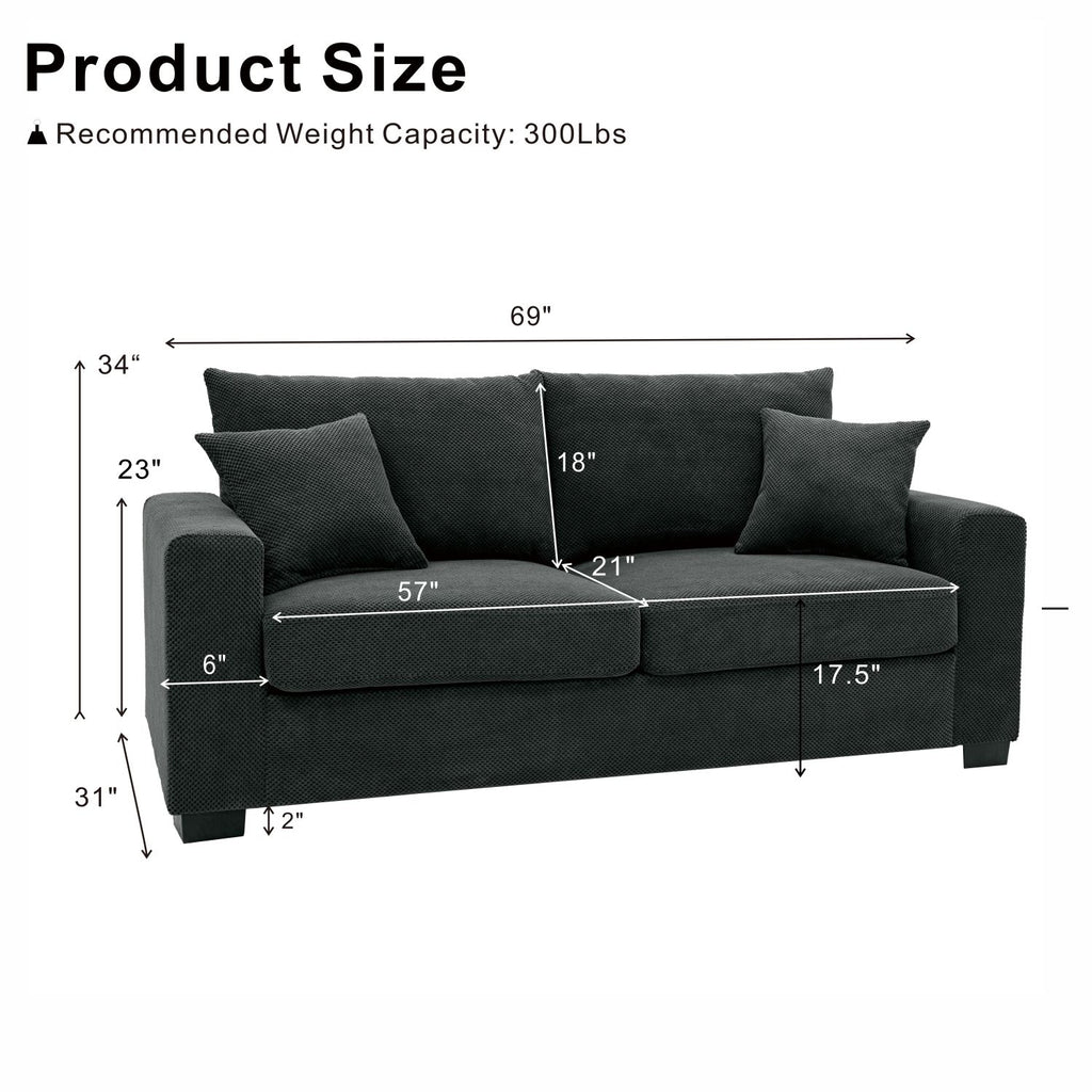 2 Seater Sofa, 2 Throw Pillows For Living Room