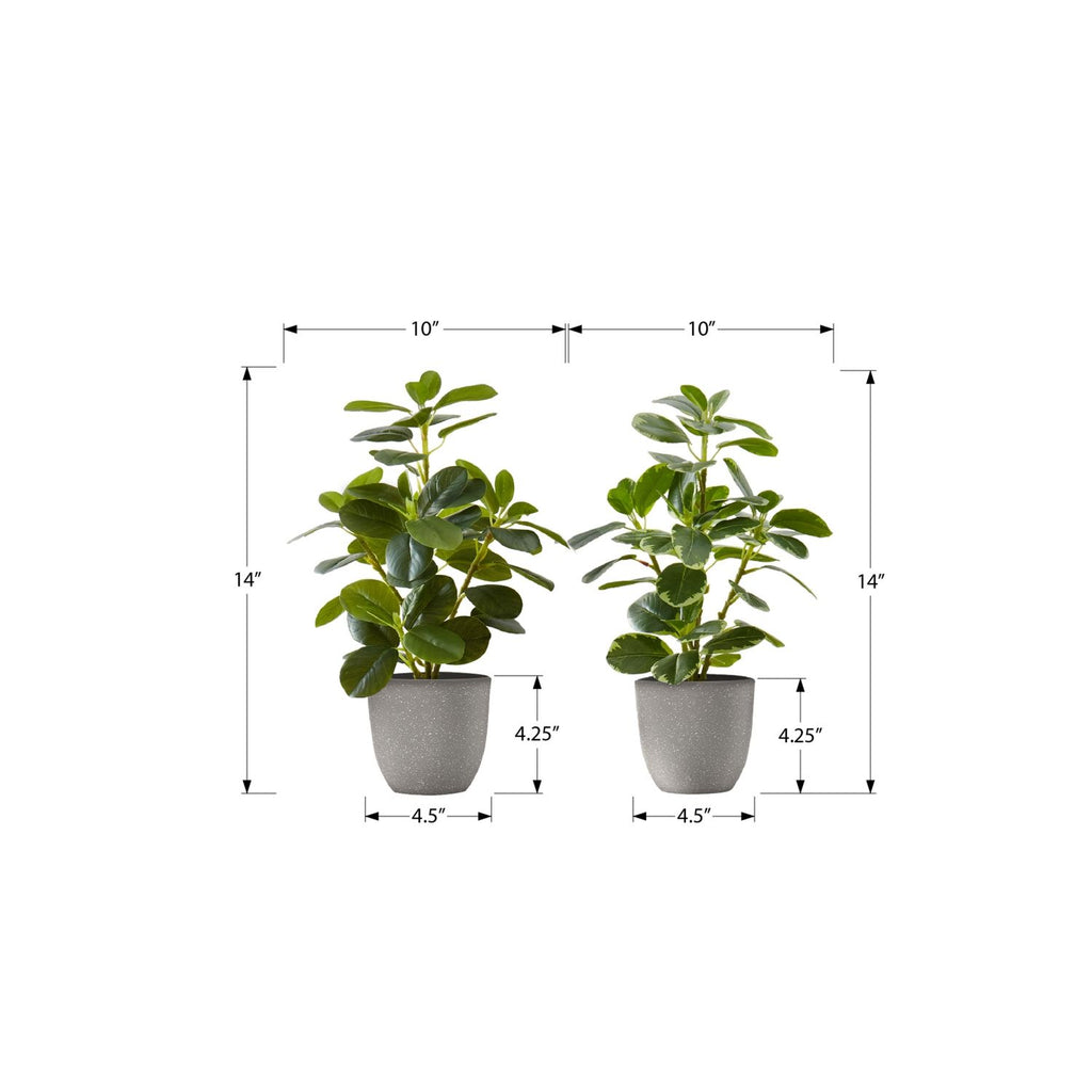 Artificial Ficus Elastica Plant (Set of 2)