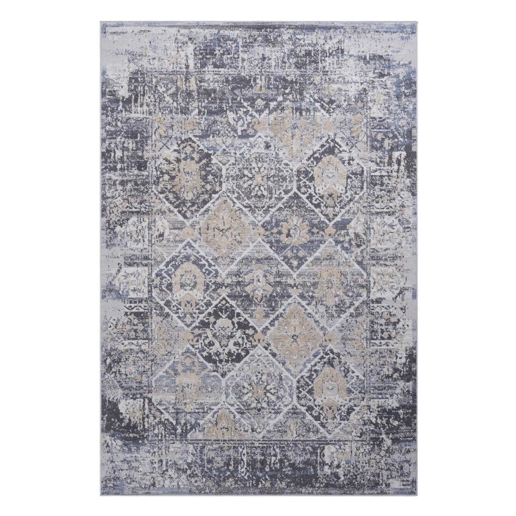 Payas - 5' X 7' Traditional Area Rug - Gray / Blue
