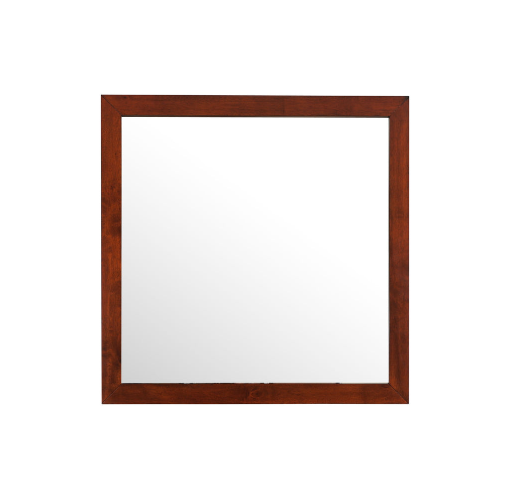 Burlington - Modern Design Transitional Wall Mirror