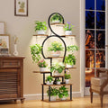 Plant Stand Indoor With Grow Light, 9 Tiered 63" Tall Indoor Plant Shelves For Multiple Plants - Walnut / Black
