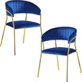 Accent Armchair For Home (Set of 2) - Blue
