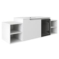 Wall Mounted Bathroom Vanity With Sink, Cabinet & Half Door