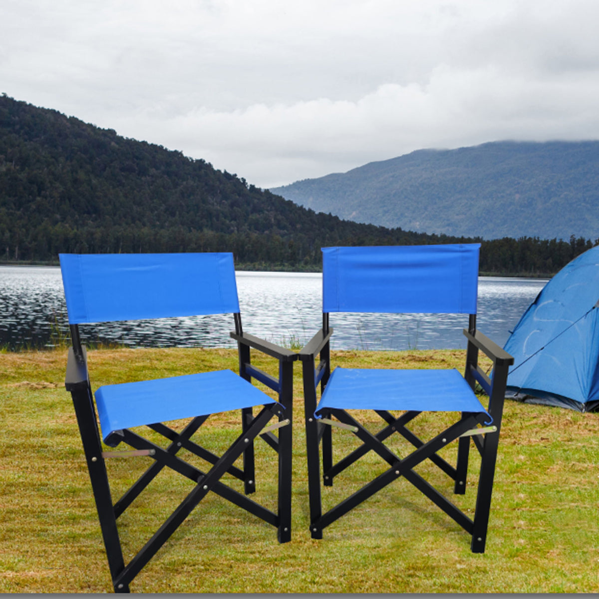 Folding Director Chair
