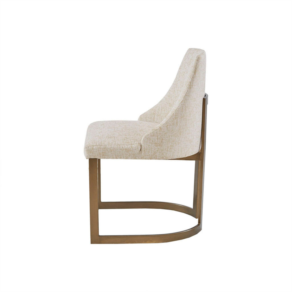 Contemporary Modern Accent Dining Chairs (Set of 2)