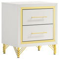 Chesney - 2 Drawer Nightstand With Trim, Bedroom Side Table - White