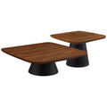 Duncan - 2 Piece Coffee Table Set
