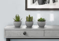 Artificial Succulent Plants (Set of 3)